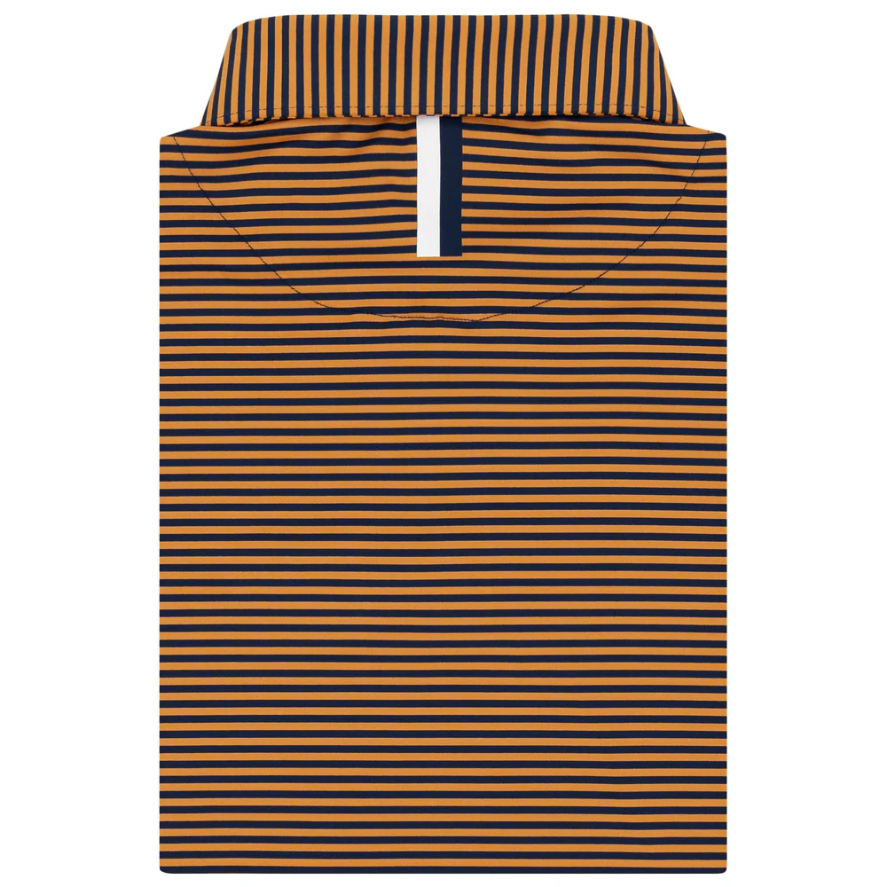 The Birdie Stripe Men's Short Sleeve Performance Polo