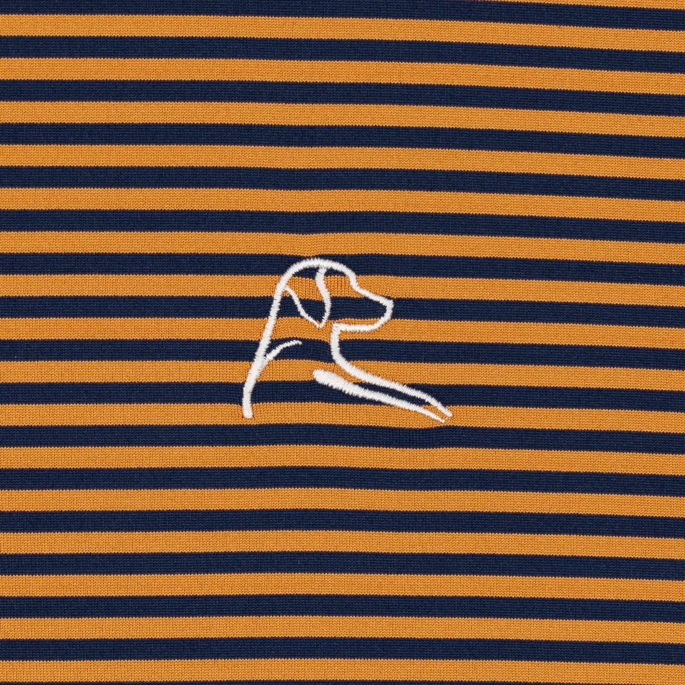 The Birdie Stripe Men's Short Sleeve Performance Polo