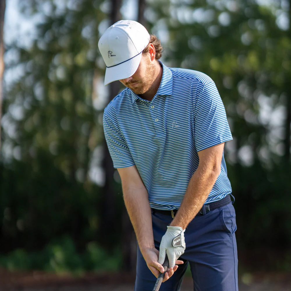 The Birdie Stripe Men's Short Sleeve Performance Polo